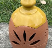 pot conservateurs à oignons