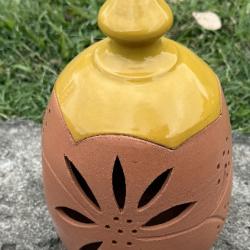 pot conservateurs à oignons