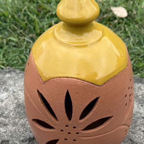 pot conservateurs à oignons